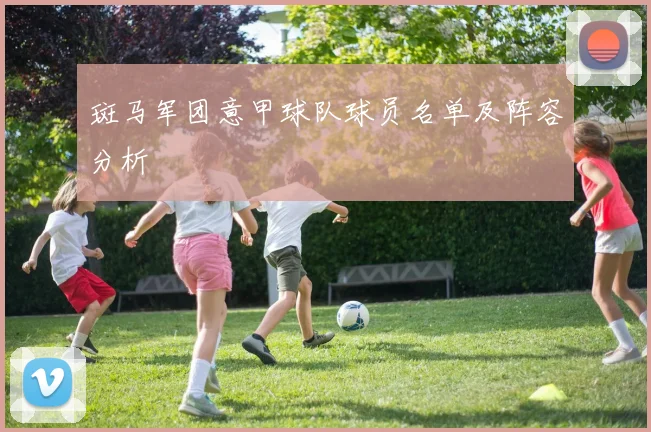 斑马军团意甲球队球员名单及阵容分析